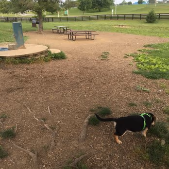 Brown Memorial Dog Park